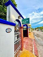 La Casa Del Arbol