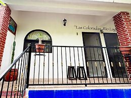 La Casa Del Arbol