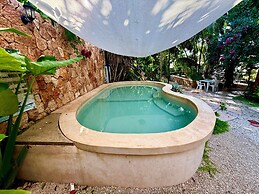 La Casa Del Arbol