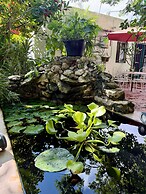 La Casa Del Arbol