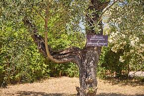 Camping Village Costa D'Argento