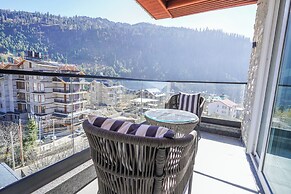Carom Hotel Manali