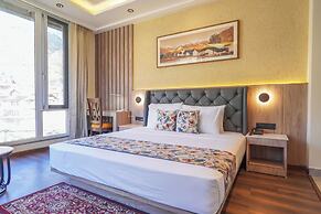 Carom Hotel Manali