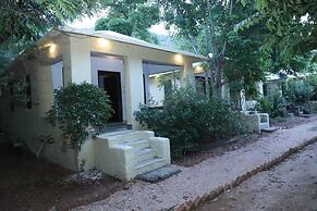 Sariska Jungle Camp