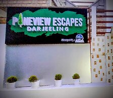 PINEVIEW ESCAPES