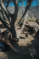 La Mata de Nuez