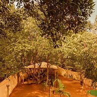 Arambol Bliss Hote Apartments
