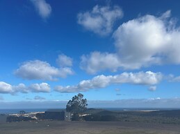 The George Tasmania