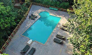 Tiger King Resort