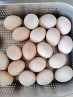 Pool Party Hotel