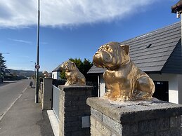 Lazy Bulldog
