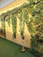 Saturn Garden