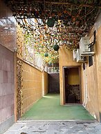 Saturn Garden