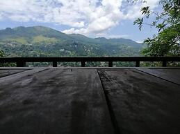 Glenview Hotel and homestay