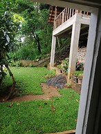 Glenview Hotel and homestay