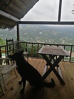 Glenview Hotel and homestay
