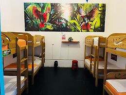 AT Amazon Backpacker