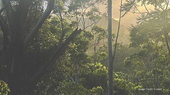 Ecoasis Mami Wata Rainforest Haven