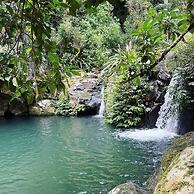 Ecoasis Mami Wata Rainforest Haven