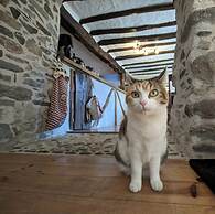 Les Chatougoulis