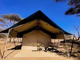 Malaika Ndutu Migration Camp
