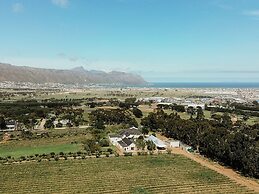 13 Olives Somerset West