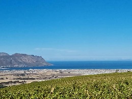 13 Olives Somerset West