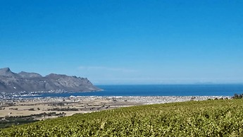 13 Olives Somerset West
