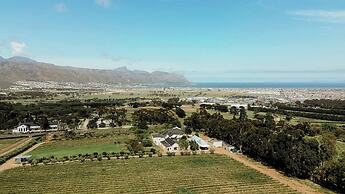 13 Olives Somerset West