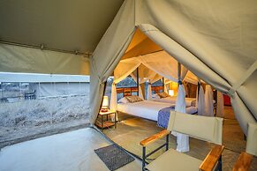 Malaika Mara River Migration Camp