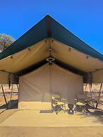 Malaika Mara River Migration Camp