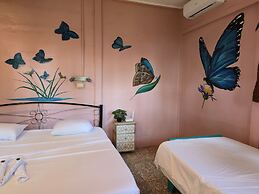 Jane's Beach Resort