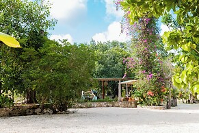 Selva el jabali