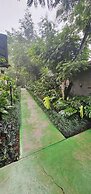 Cabañas Green House