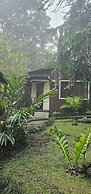 Cabañas Green House
