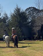 DenHills