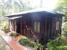 Palm grove eco resort