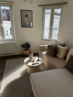 Modern 1BR plus LR Apt Near Gravensteen
