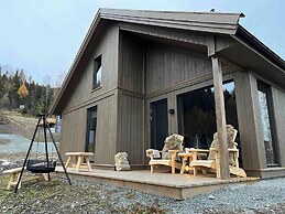 Cozy Family Cabin Ski Centre, Shuttle bus