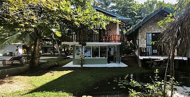 Papaya Hikkaduwa