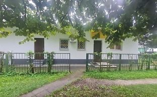 Artishalico tallinn