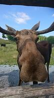 Holiday Home Hammarstrand