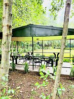 Bambou Gorila Hotel