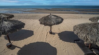 Encantame Towers Viento 1404