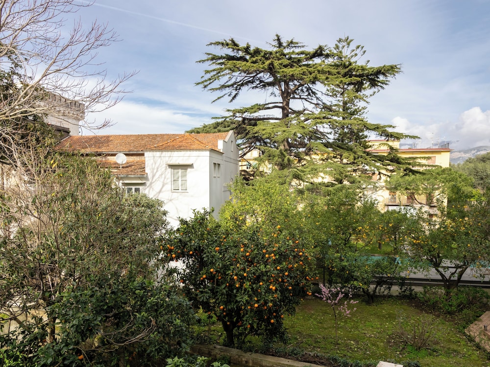 Rosa's House