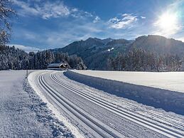 Mount-apartment Directly on Ski-slopes