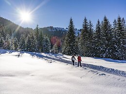 Apartment in Wildschonau With Shared Sauna