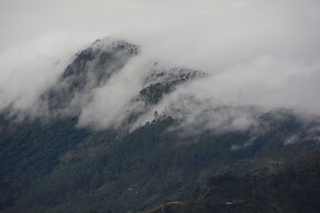 Peak & Pillow