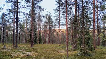 Borealis