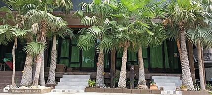 Changroj Resort